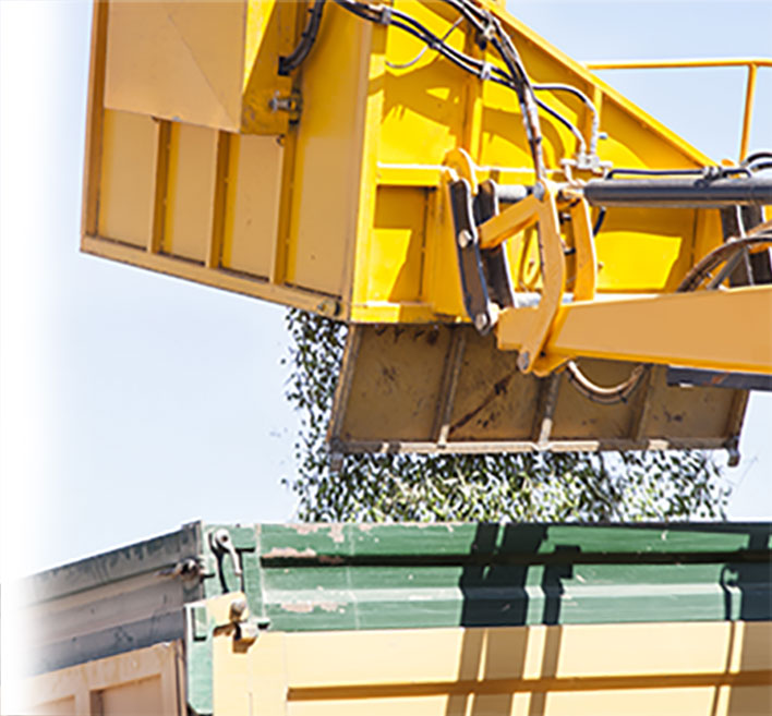 OLEICULTURA Agrointec Solutions OLEICULTURA Agrointec Solutions