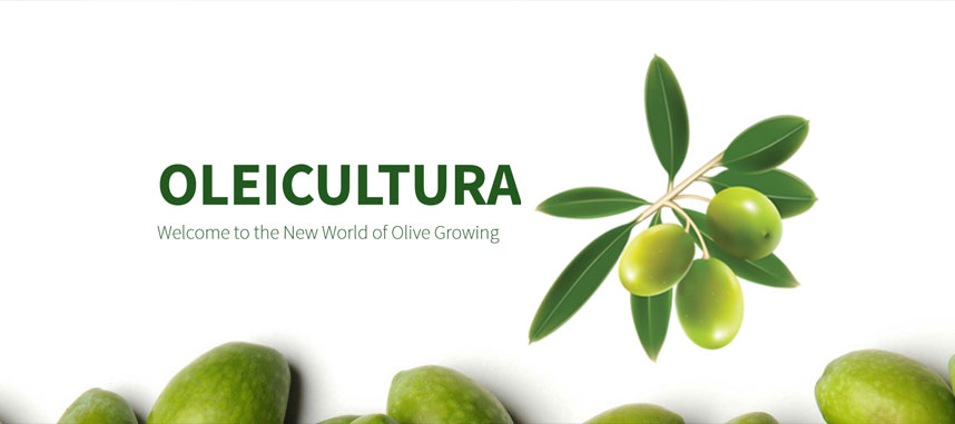 OLEICULTURA Agrointec Solutions